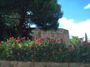 Las Termas Romanas en España: Higiene, Ocio y Vida Social en Hispania